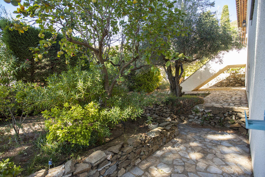 Beautifully located villa in the mountains of Els Olivars